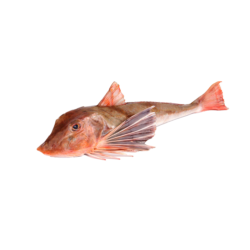 KNURRHAHN