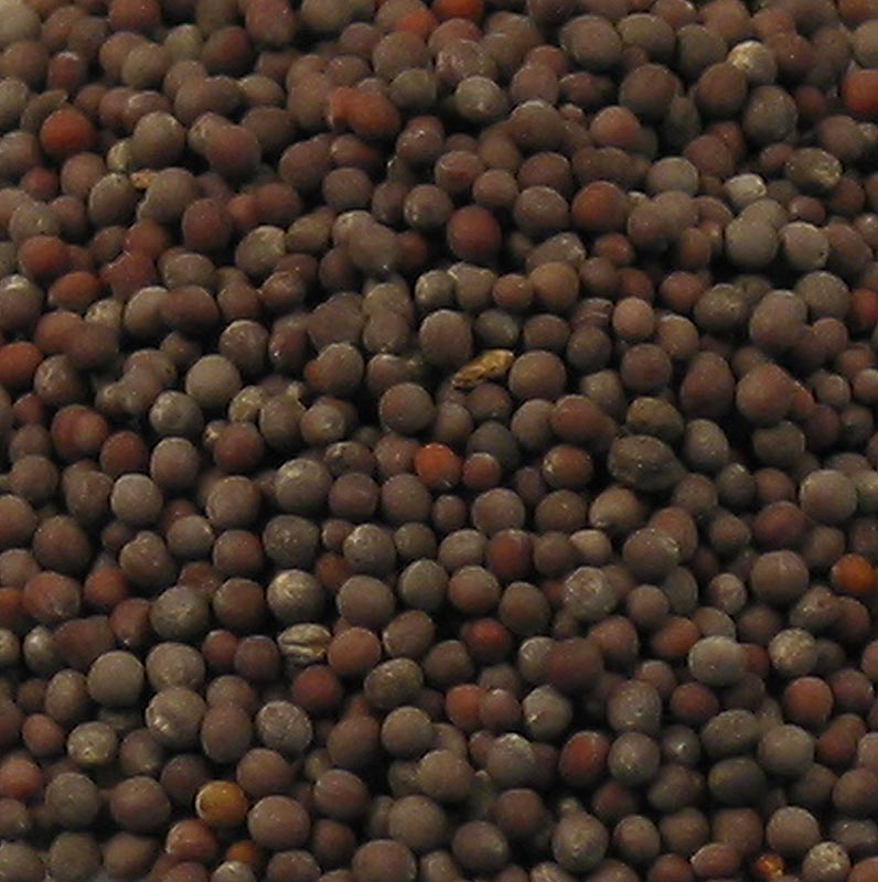 Senfkörner dunkel