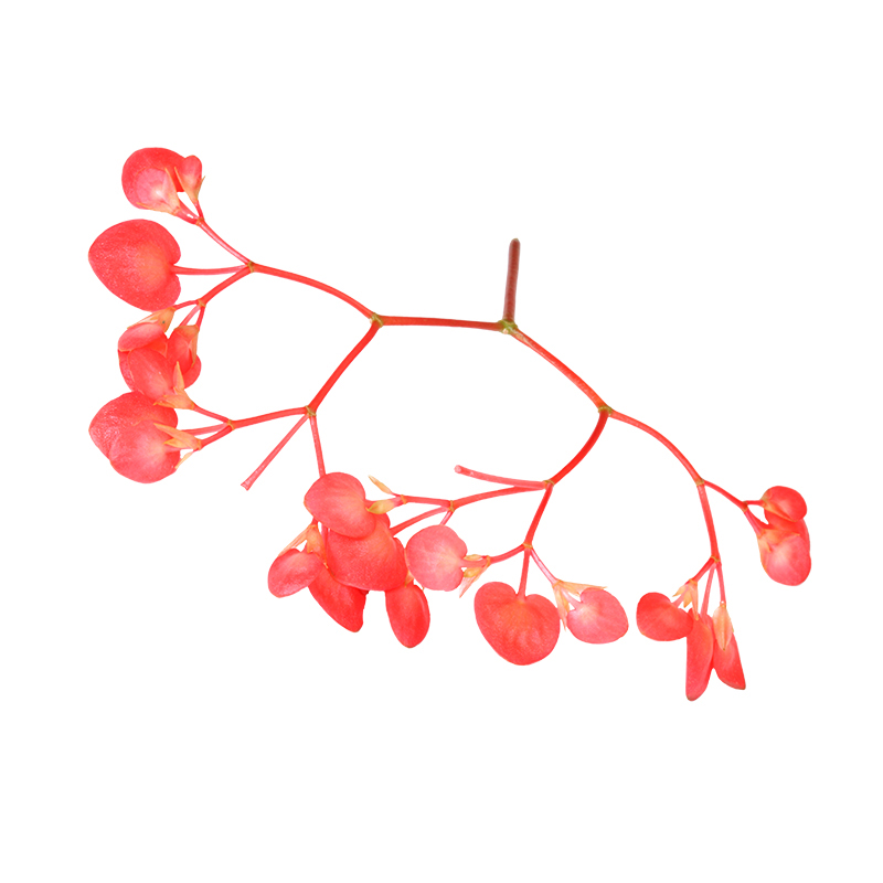 Koppert Apple Blossom 2x100StkCrt NL