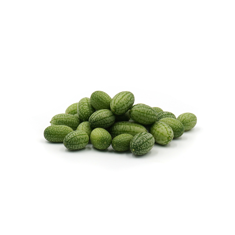 Micro concombre - concombre olive
