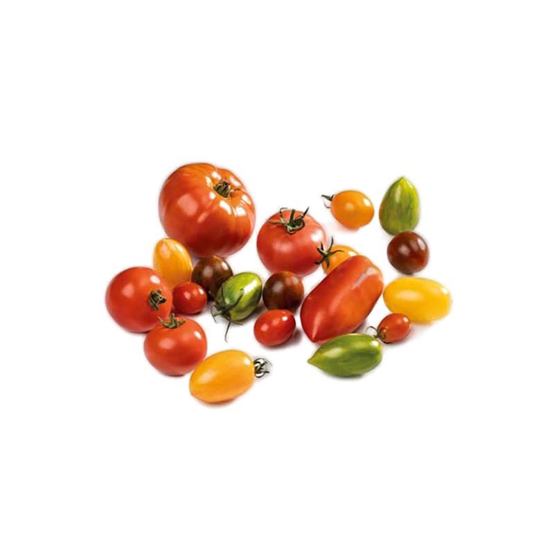 Tomaten Mix-AD