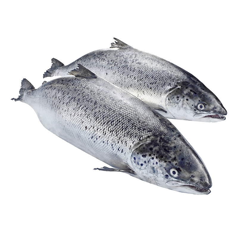 LACHS LABEL ROUGE LOCH DUART