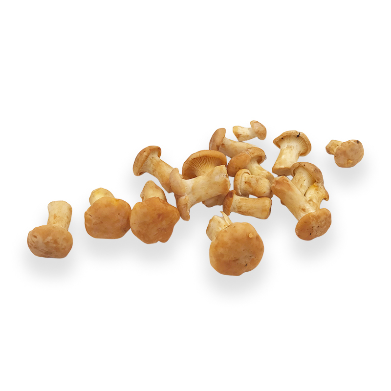 Eierschwämme mittlere 1kgKi   3-5cm PTES