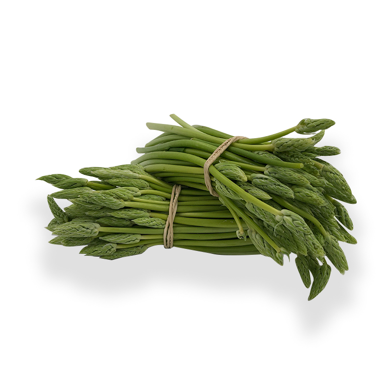 Spargel wild grün