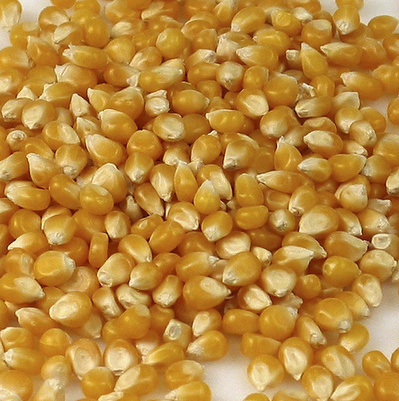 Bio Pop Corn Mais