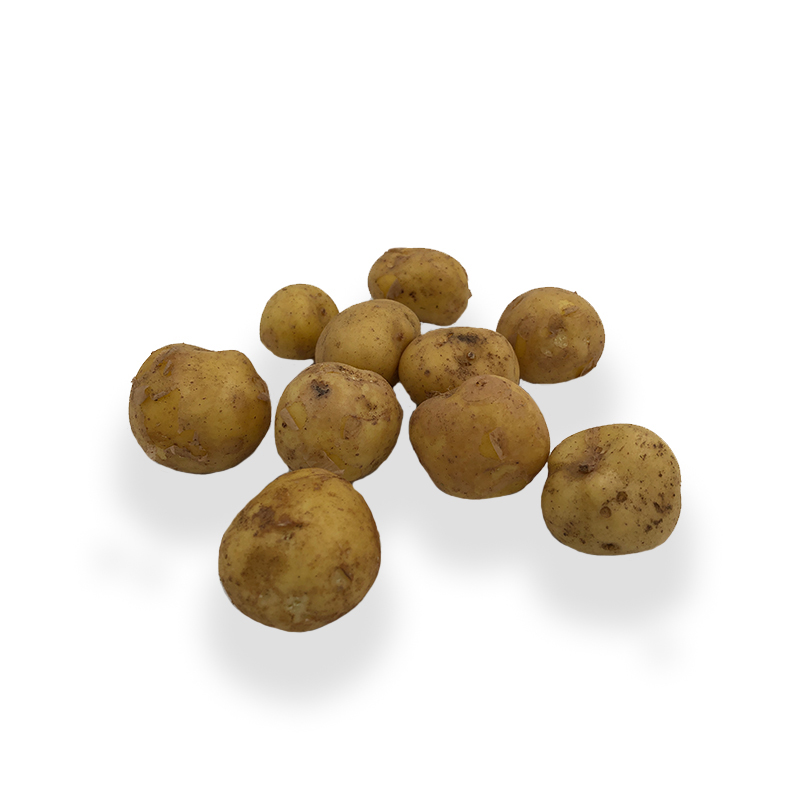Kartoffel La Bonotte