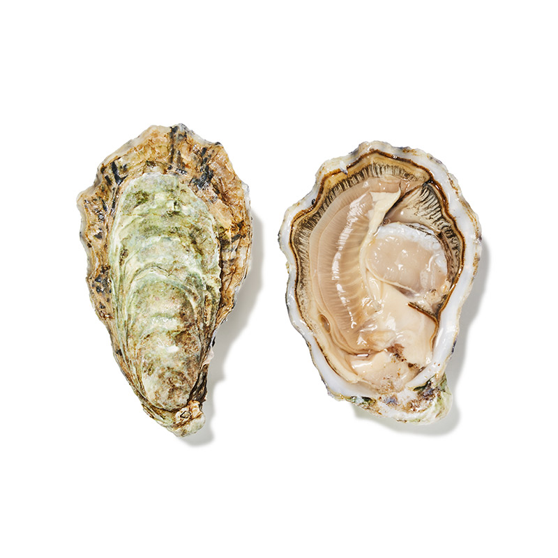 Auster creuse spéciale Nr. 4