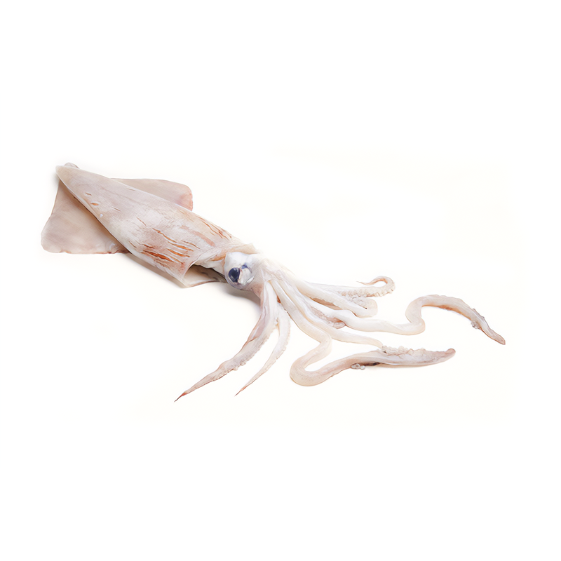 Calamares-