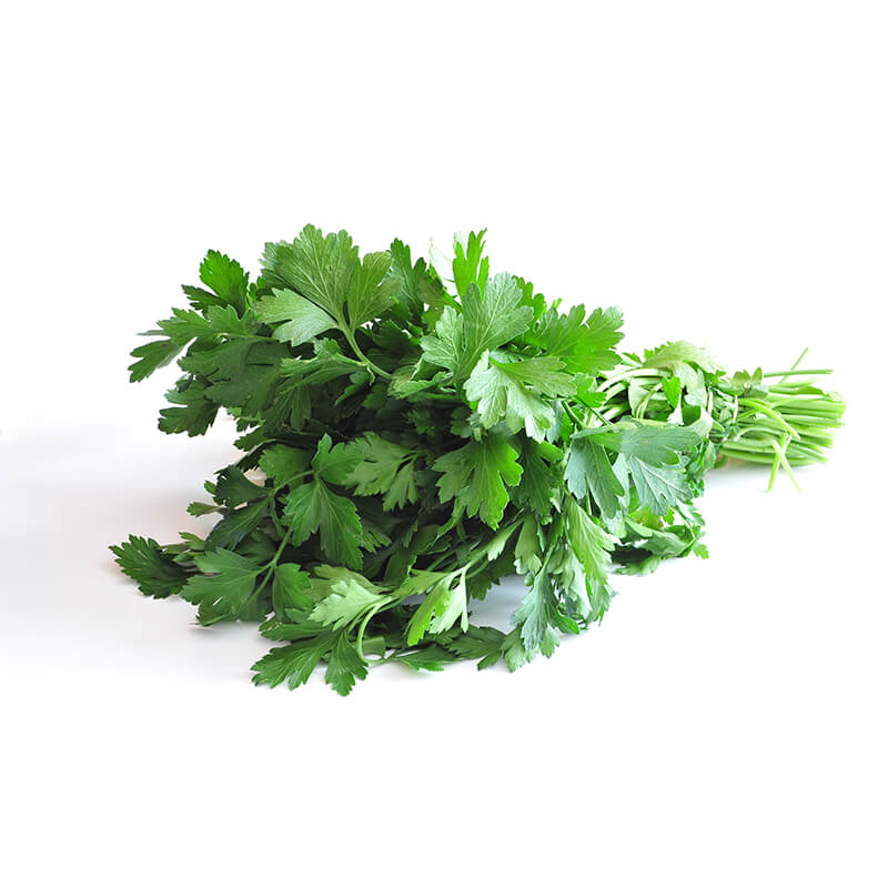 Petersilie Liscio (glatt)