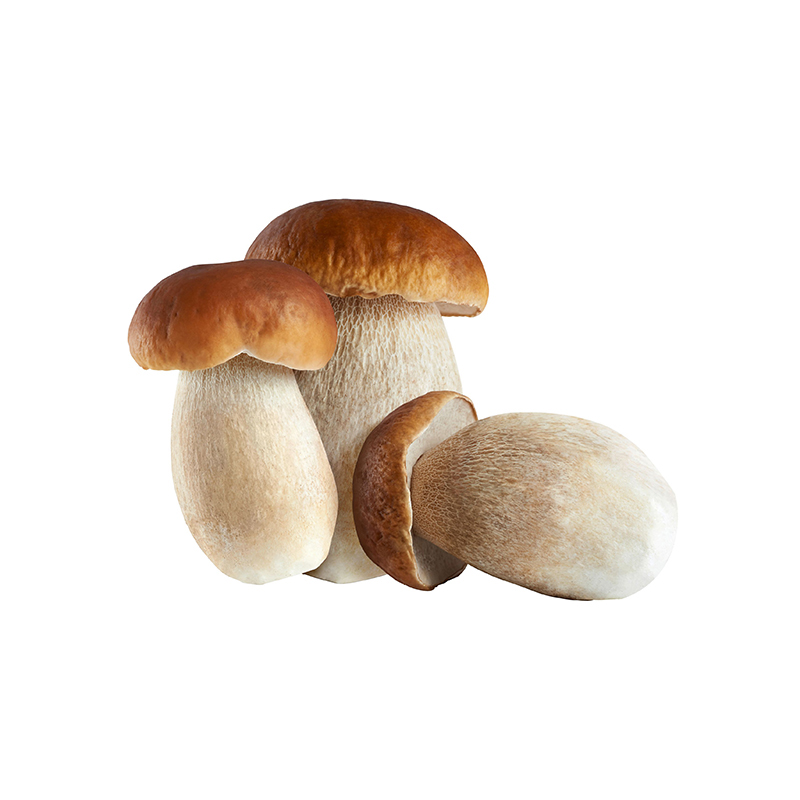 Steinpilze klein ganz 1kgKi   RO