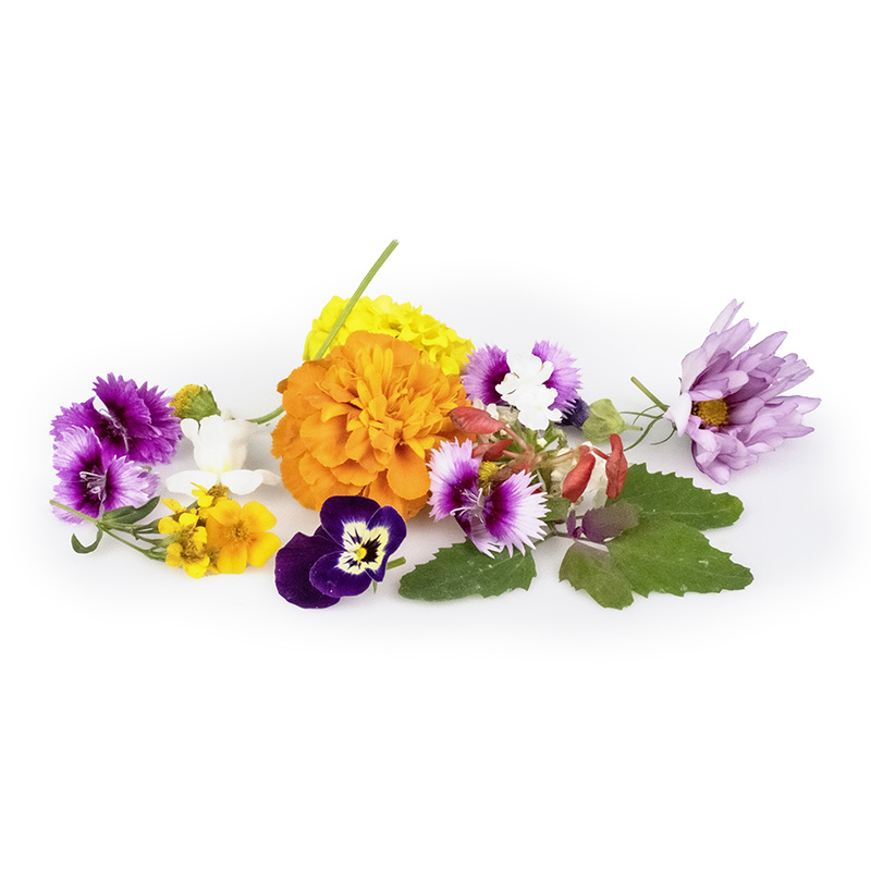 Mix de fleurs chefs table
