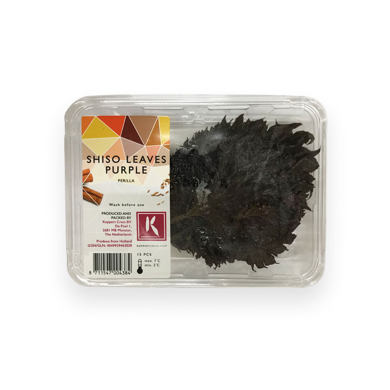 Koppert Shiso Blätter rot 15   BlätterSch