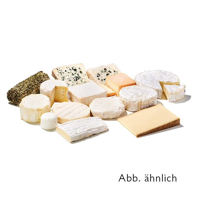 Assortiment de fromage grand - 11 variétés fromage français