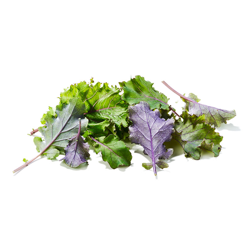 Kale rot