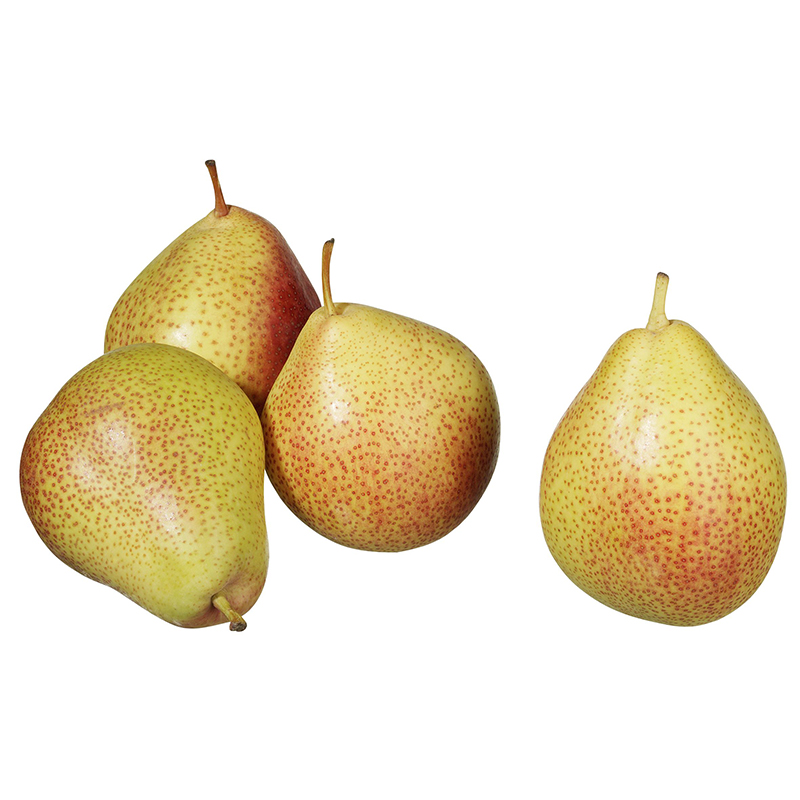 BÜSCHELIBIRNEN