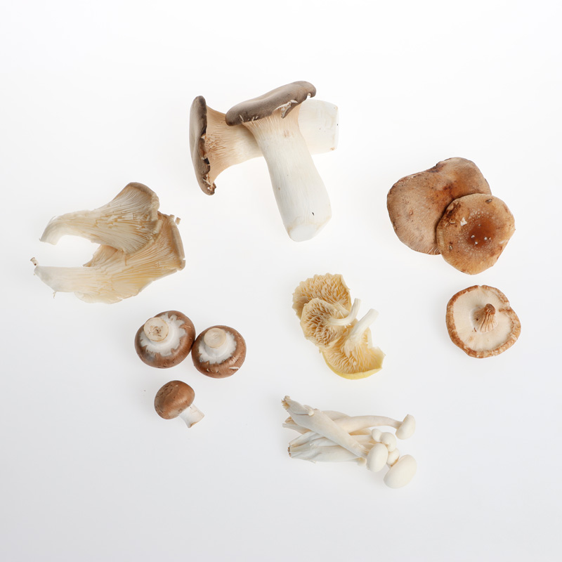 Pilz-mix_OWN-