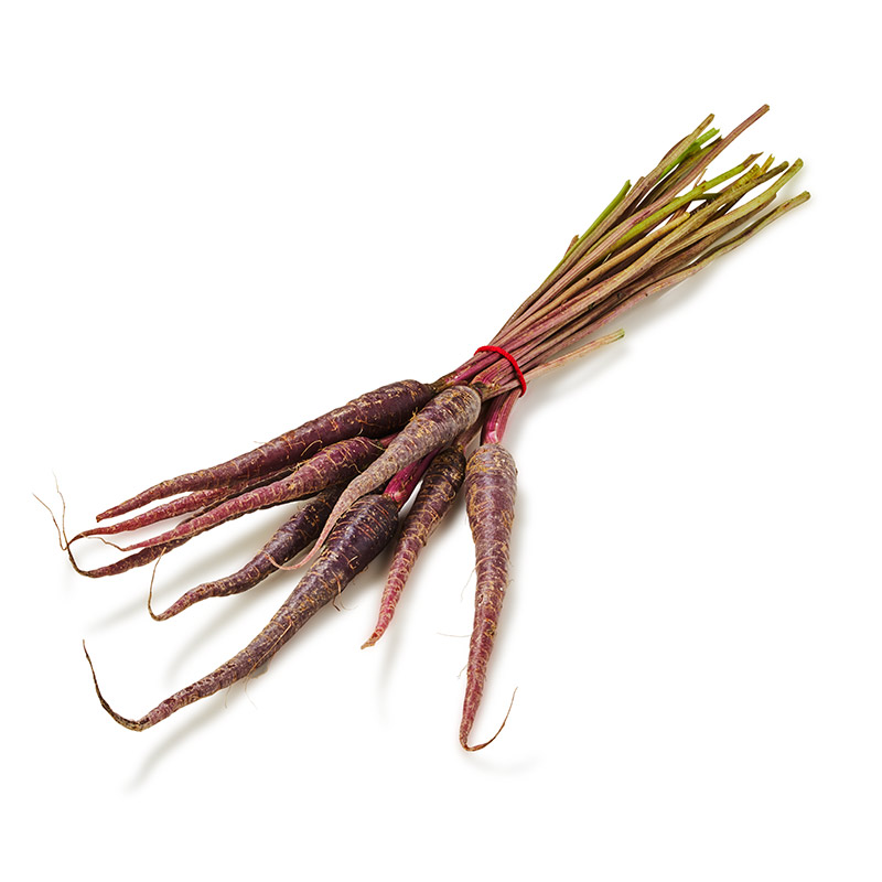 Mini Karotten lila