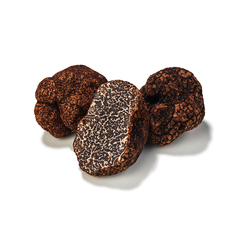Truffe noire "Tuber Indicum "