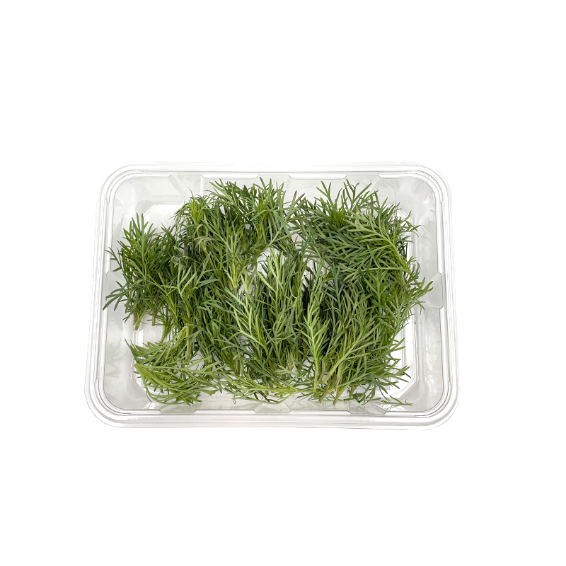 Paztizz Tops "Koppert Cress "