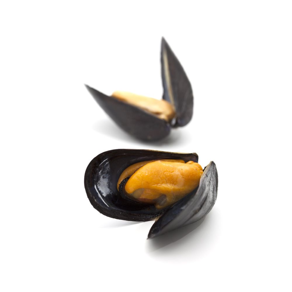 Moules Bouchot 3kg Bretagne    FR