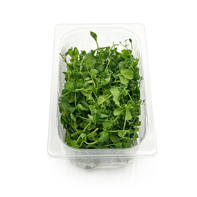 Crazy-Pea-Koppert-Cress-OWN