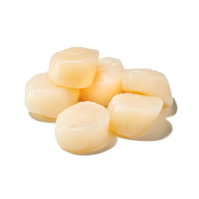 MSC Kammmuschelfleisch 10/20 20% Glasur IQF