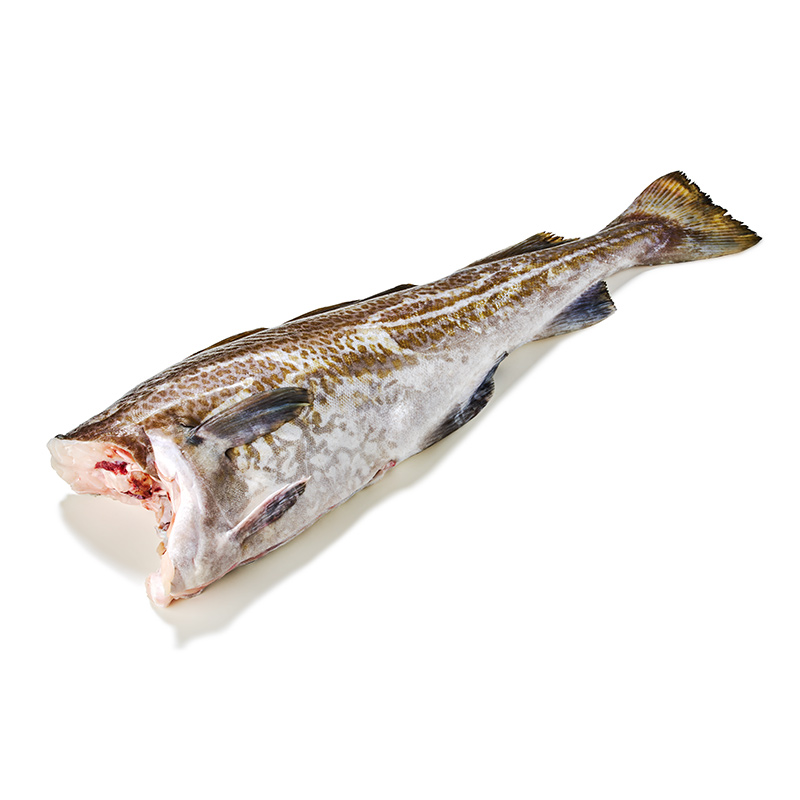 Skrei ohne Kopf