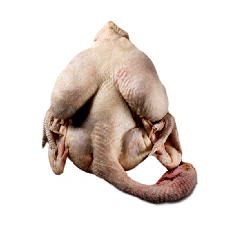 Truten-Freiland-K-und-F-MD