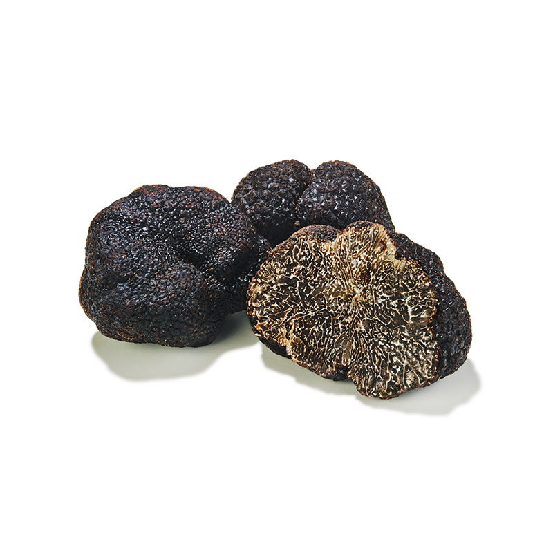 Trüffel schwarz Périgord