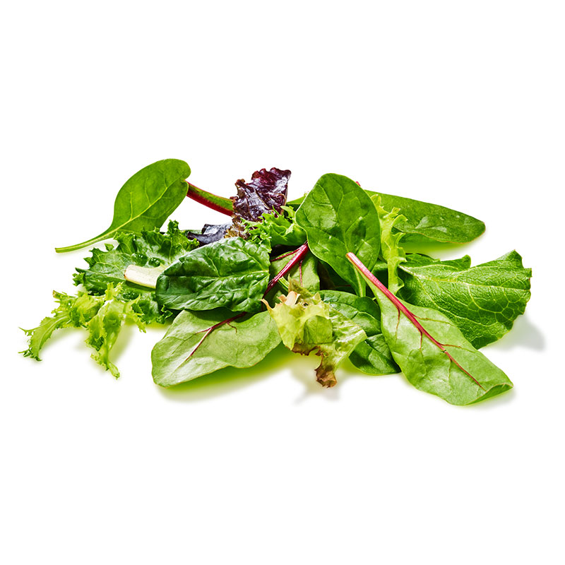Salatmischung Saison "Keltenhof"