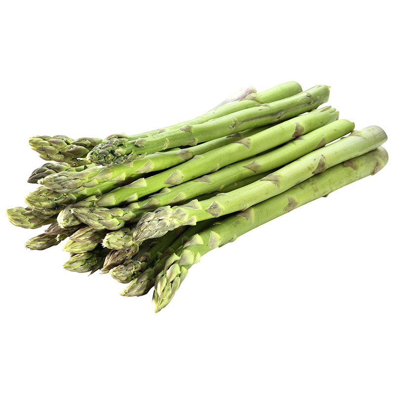 SPRARGEL Grün