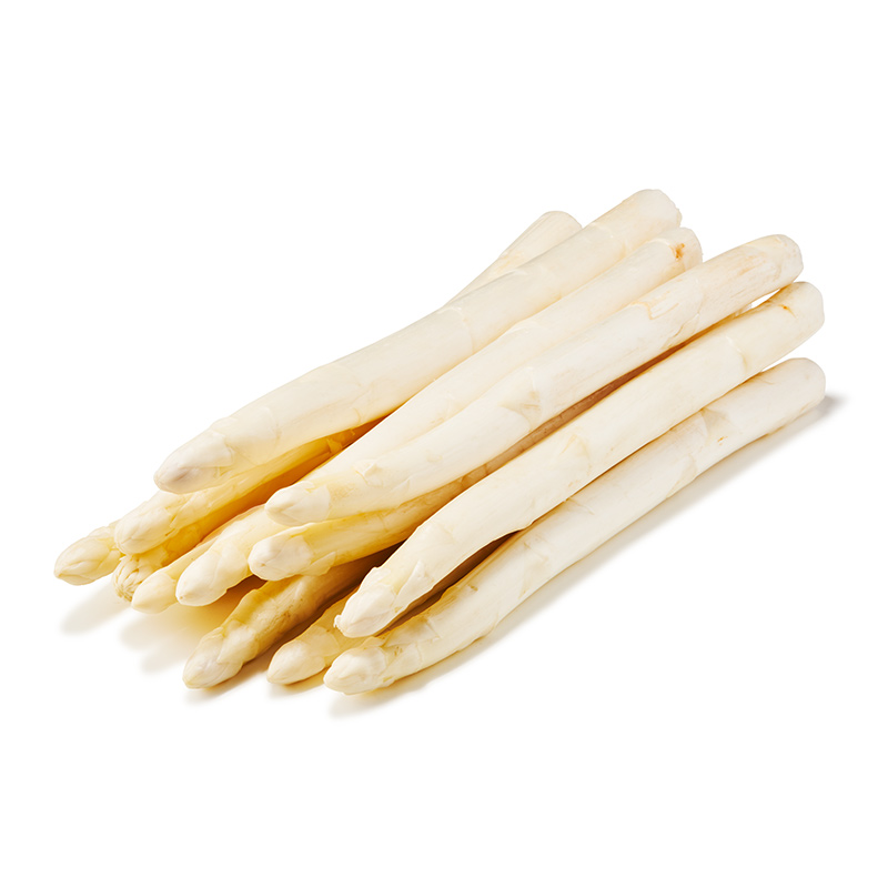 Asperges blanches 16/26mm