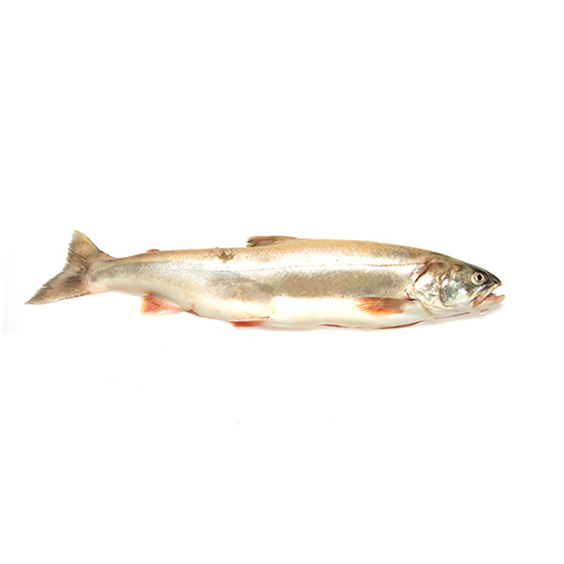 Saibling 300-400g CH