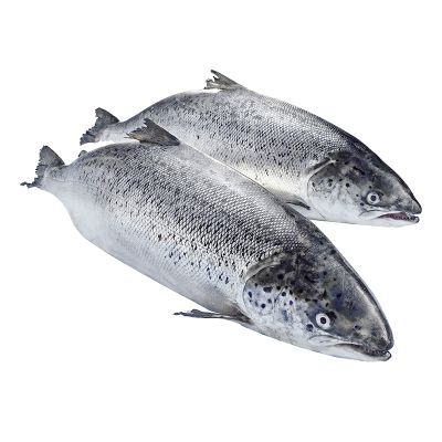Lachs Label Rouge