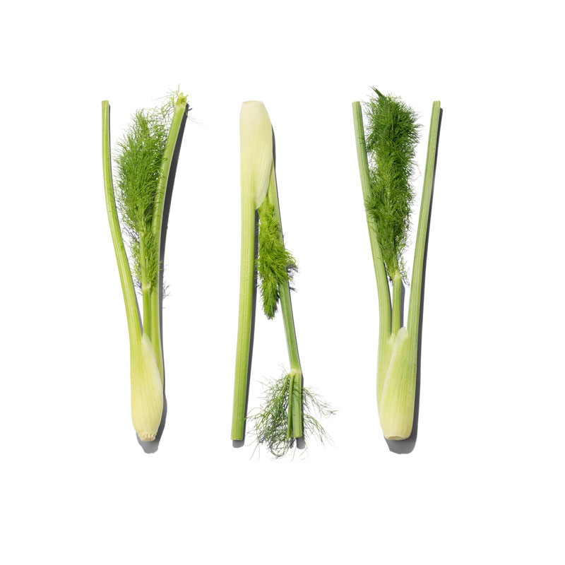 Mini-Fenchel-