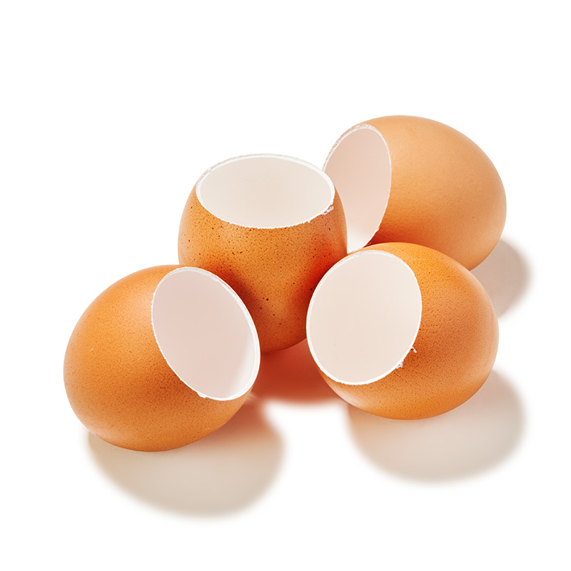 Eierschalen leer braun