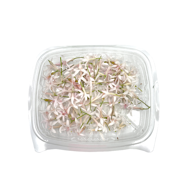 Knoblauchbluten-weiss-OWN