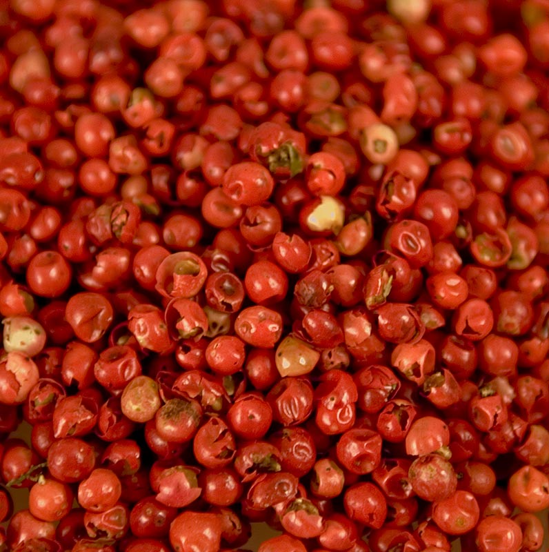Rosa Pfeffer Schinus Beeren getrocknet
