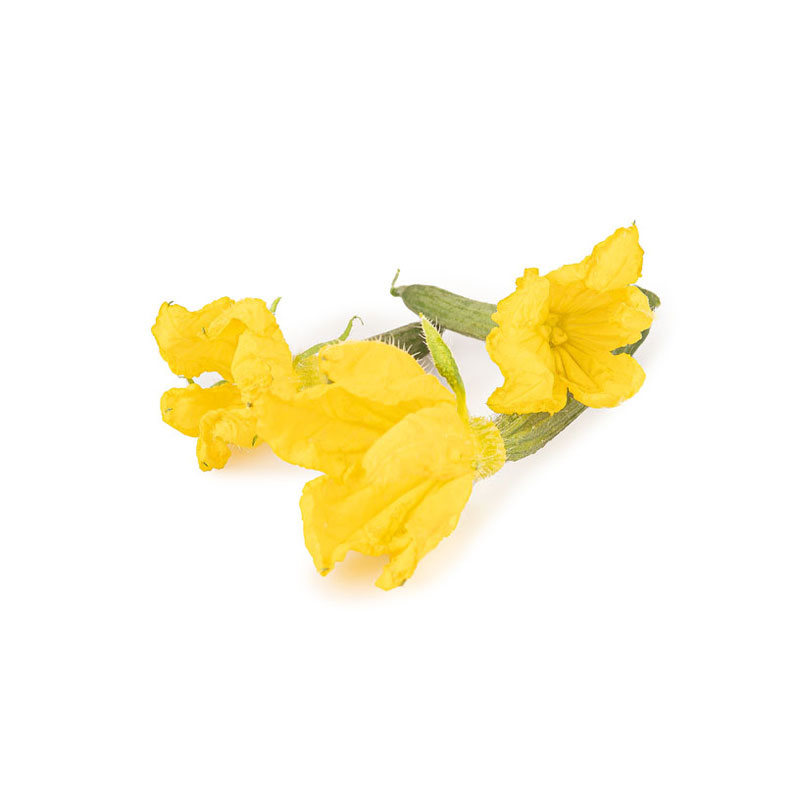 Bio-Mini-Gurken-mit-Blüte-