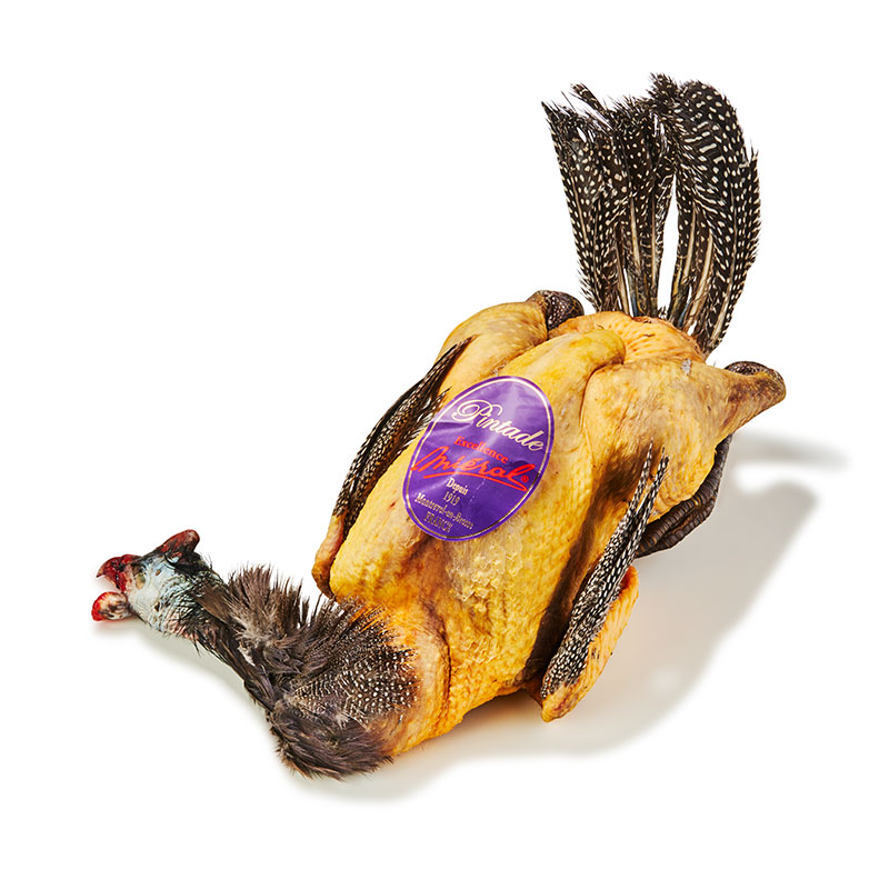 Perlhuhn Kopf & Fuss Excellence