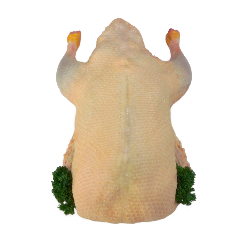 Oldenburger Ente pff 6x2-2.4kg14.4kgCrt