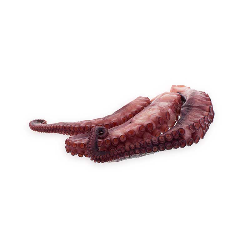 Pulpo Tentakeln gekocht