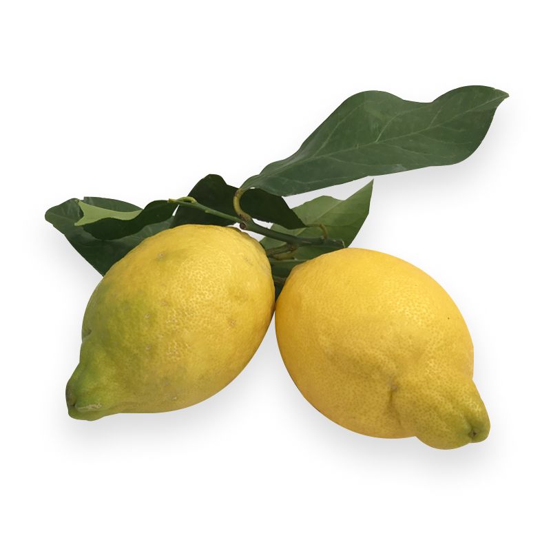 Zitronen grüngelb unbehandelt mit Blatt I