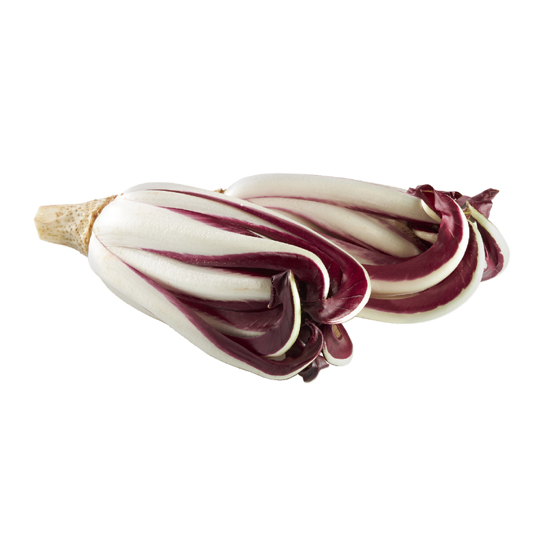 Radicchio Tardivo