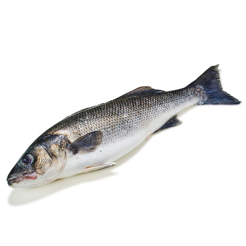 Bar de ligne IKEJIME