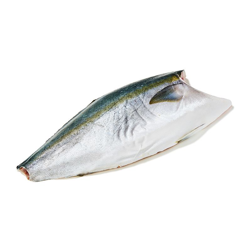 Kingfisch Hamachi Filet mit Haut
