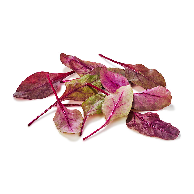 Feuilles de betteraves jeunes