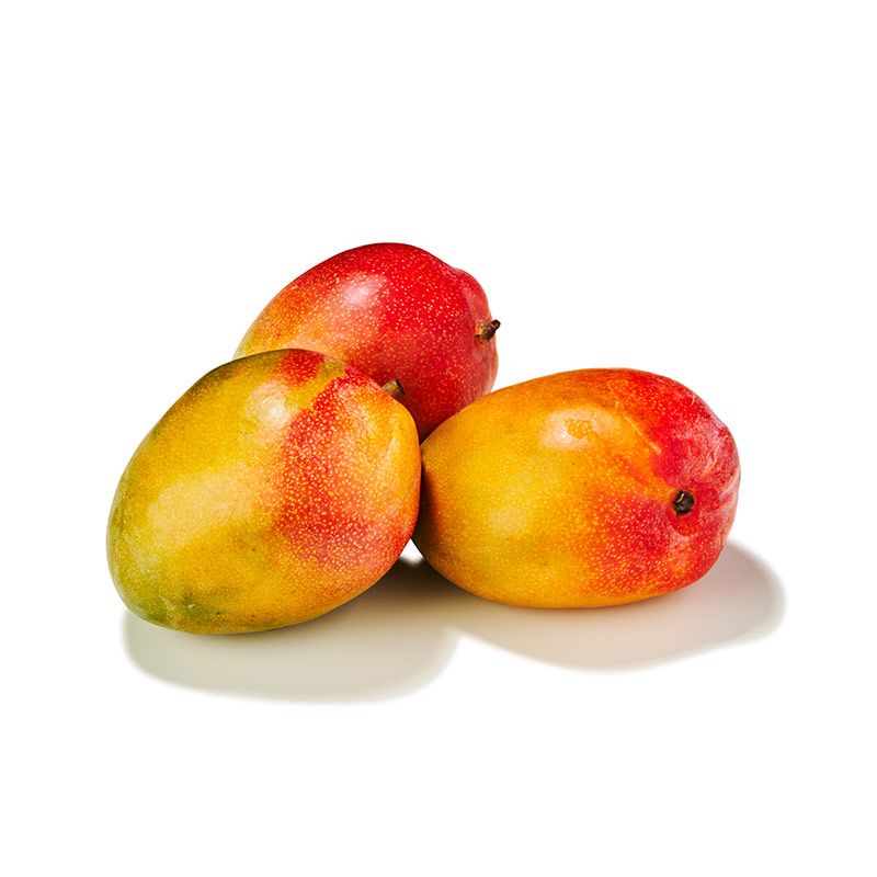 Mango 'Kent/Keitt'