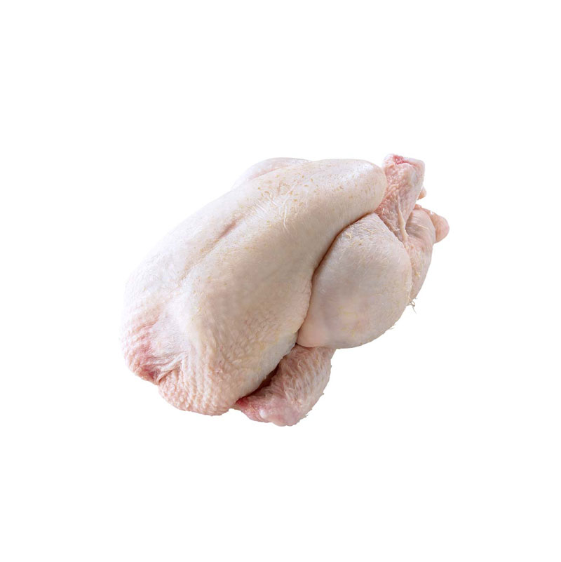 Coquelet