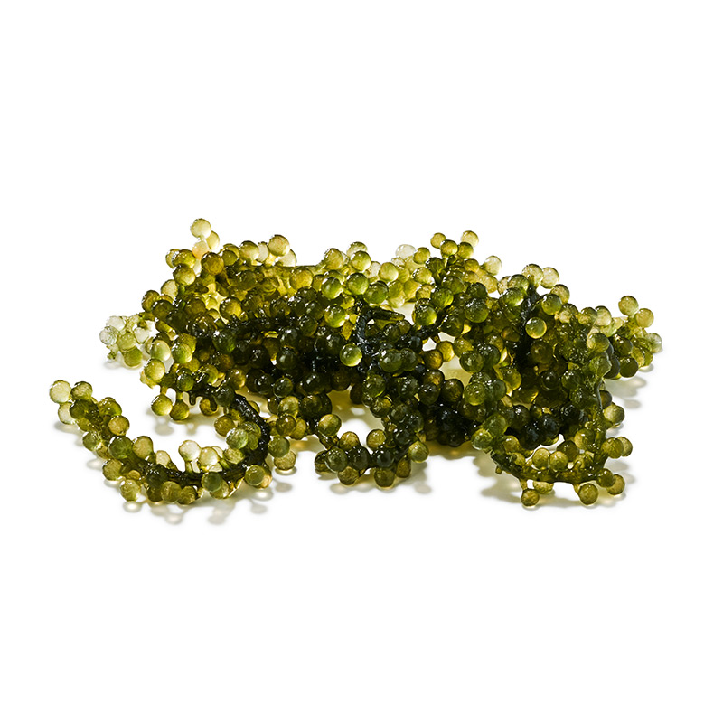 Moai Caviar raisin de mer "Koppert Cress"